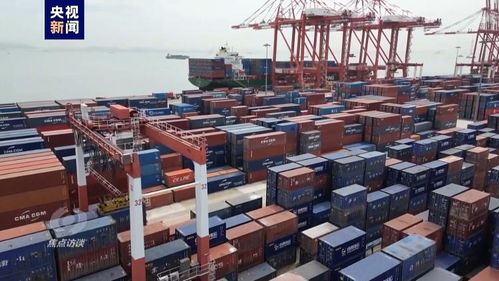 偉大的歷史變革 高水平對(duì)外開(kāi)放推動(dòng)二手日用百貨銷(xiāo)售產(chǎn)業(yè)升級(jí)